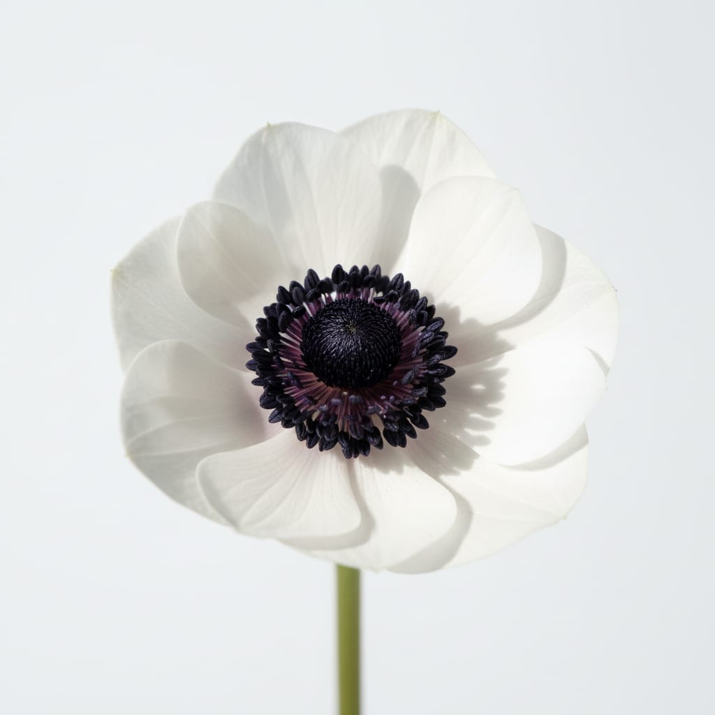 Bundles of dried purple lavender tied with twine, rustic kitchen setting, warm lighting, aromatic feel